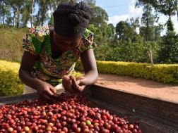 Munkaze 03 - Experimental